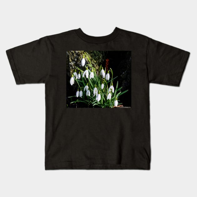 Snowdrop display Kids T-Shirt by jalfc46